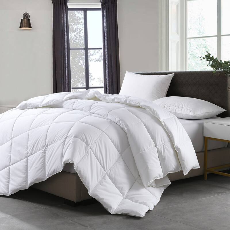 Eco Life Natural Cotton Soft BioFill Comforter - Full - Queen