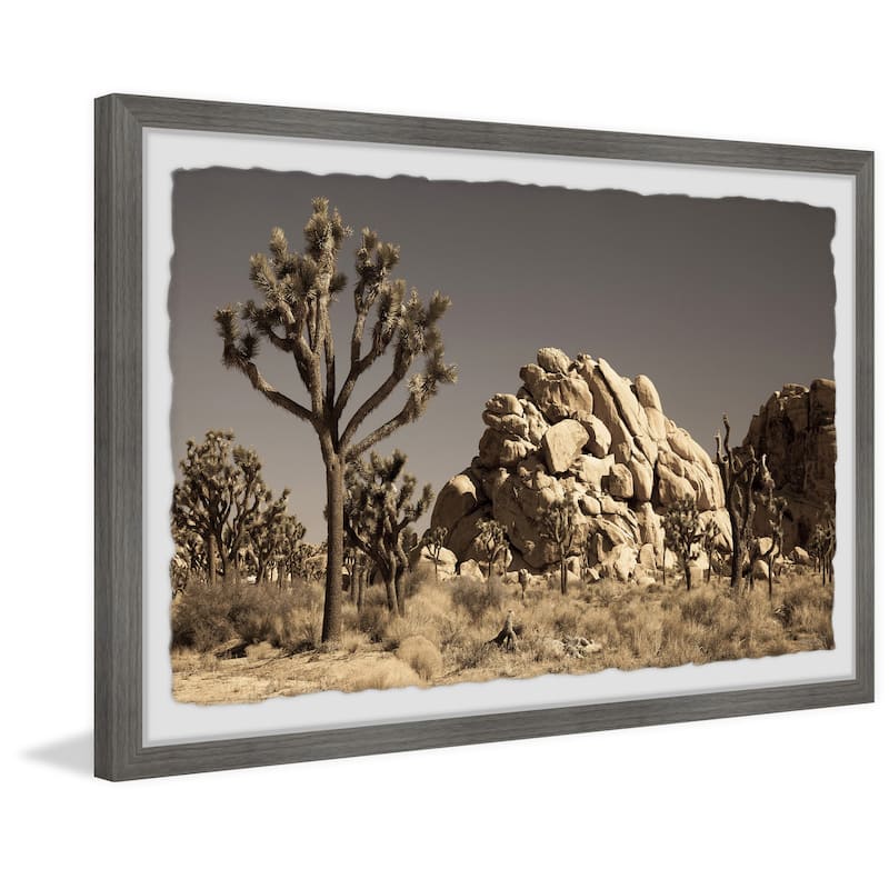 'Cactus and Rocks' Framed Painting Print