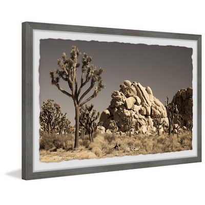 'Cactus and Rocks' Framed Painting Print
