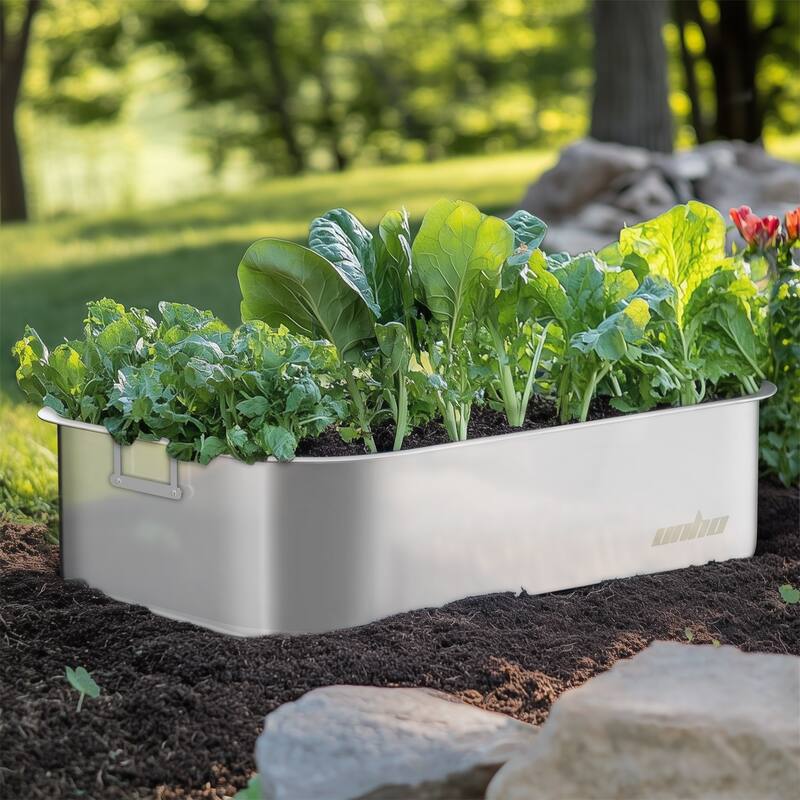 Stainless Steel Planter Box with Wire Handle Greenhouse Planting Box (set of 3)