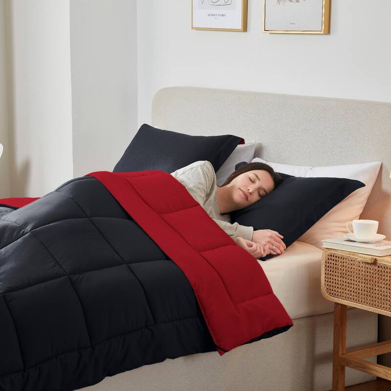 Empyrean All Season Alternative Down Lightweight Reversible Comforter Set