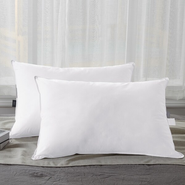 Bed bath & hot sale beyond bed pillows