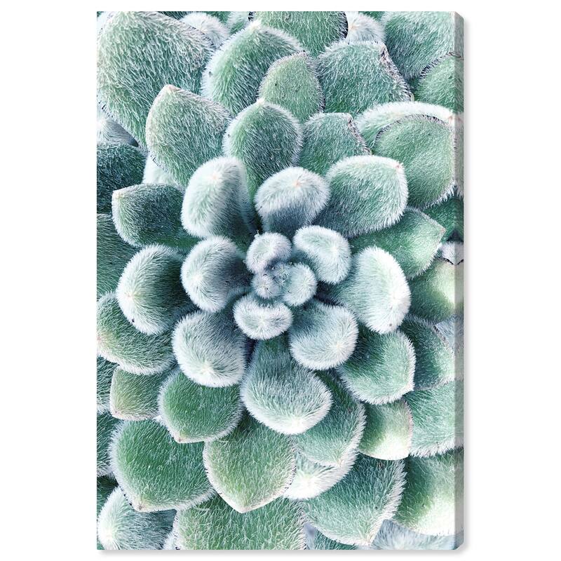 Wynwood Studio Canvas Floral and Botanical Succulent Zoom III Green and Tropical Wall Art Canvas Print