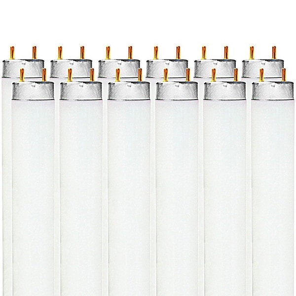 T8 24 inch store bulb