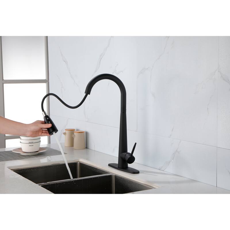 Single Handle Stainless Steel Kitchen Sink Faucet with Pull Down Sprayer