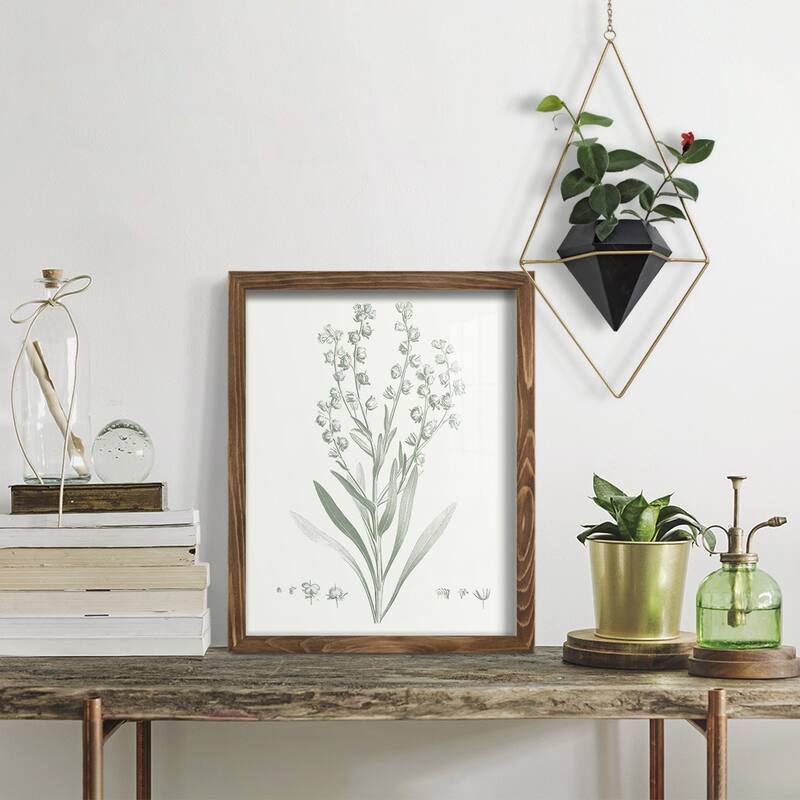 Botanical Study in Sage I -Framed Print w/glass-Cherry Red