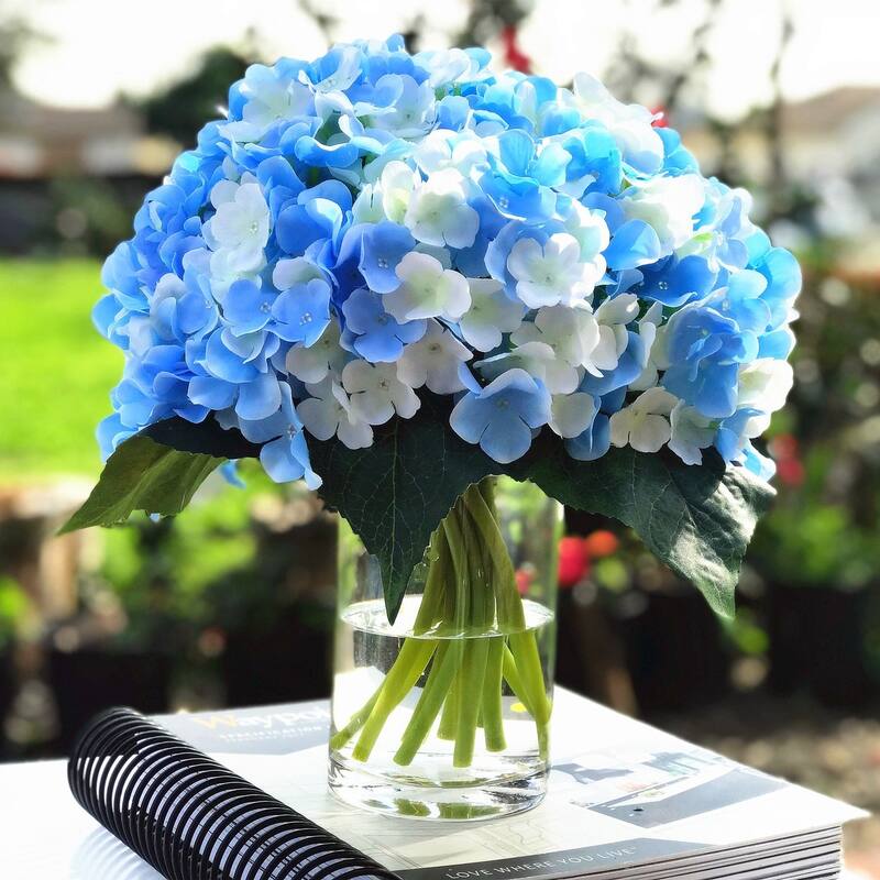 Enova Home Blue Cream Artificial Silk Hydrangea Fake Flowers Arrangement in Clear Glass Vase with Faux Water for Home Decoration