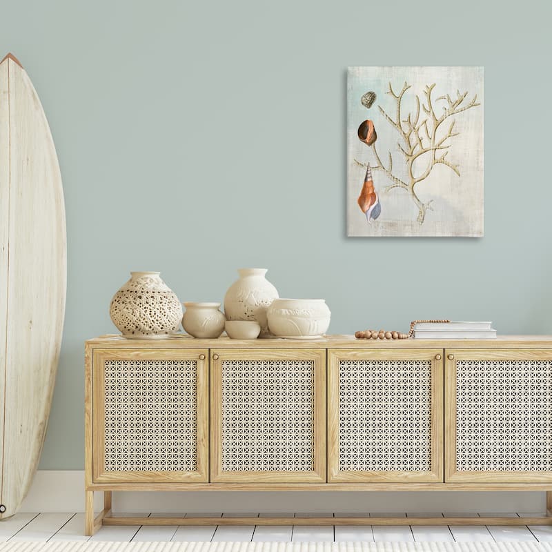 Stupell Seashells and Coral Branch Canvas Wall Art Design By Susan Arnot