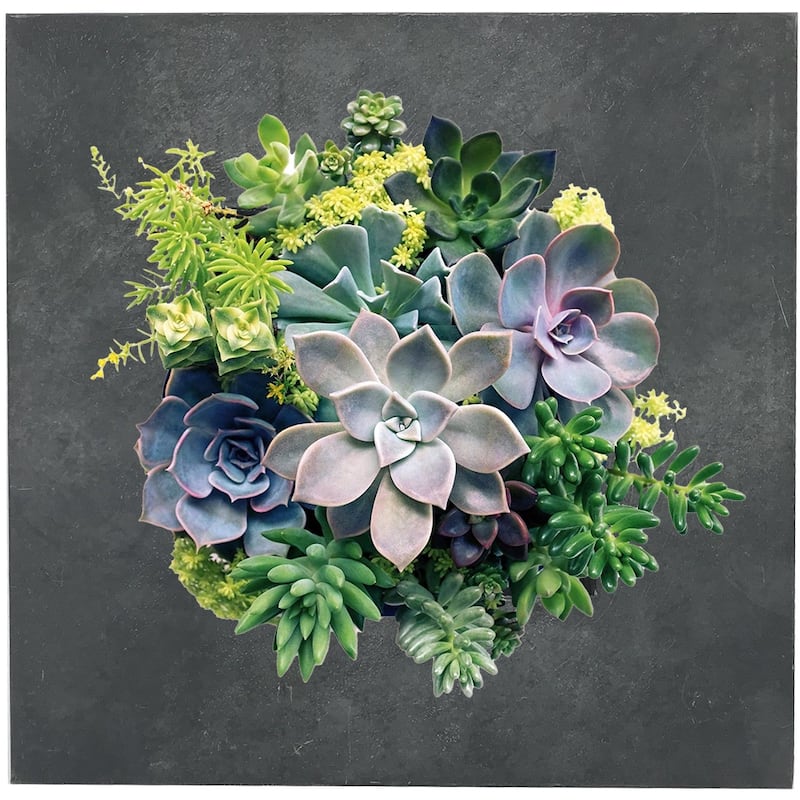 Carson Carrington Tasback Galvanized Steel/ Zinc Succulent Planter