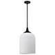 preview thumbnail 7 of 8, Nuvo Lighting 60/8646 Solara 12" Wide Pendant