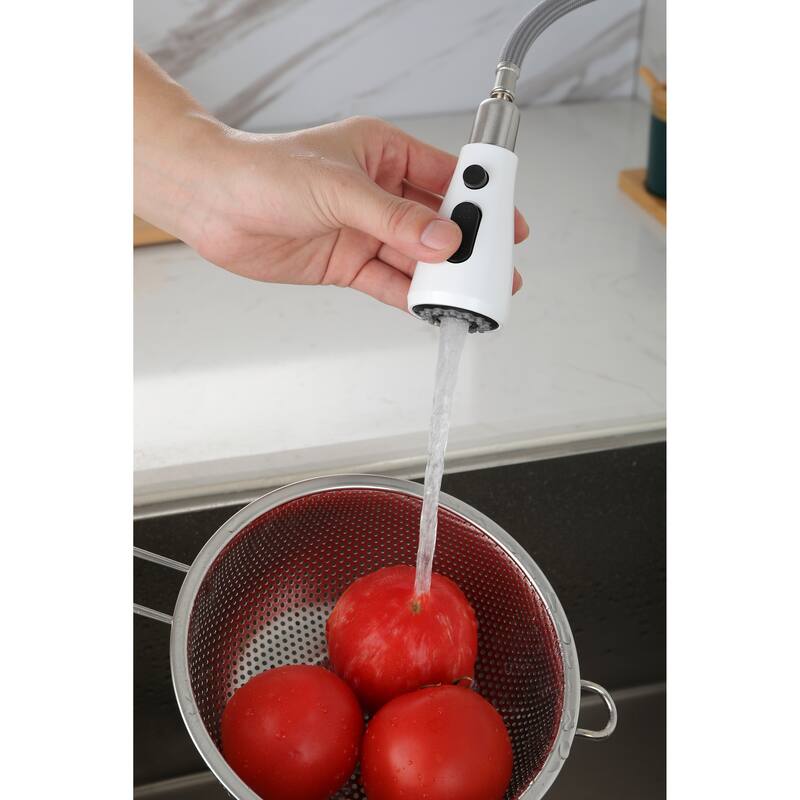 Pull Out Spray Kitchen Faucet