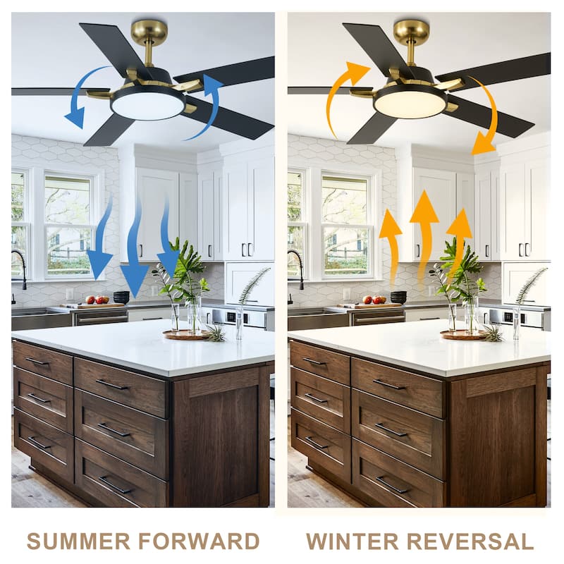 Bella Depot 52" Modern Ceiling Fan with Light and Remote Black 6-Speed Reversible Fan