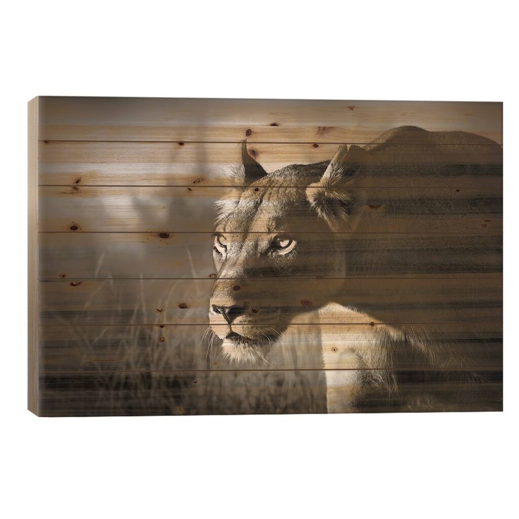 Lioness Stalking Print On Wood by Johan Swanepoel - Multi-Color