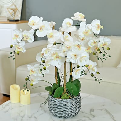 7 Stems Artificial Real Touch Silk Orchid with Succulents in Bamboo Woven Basin - 27.95" H x 27.17" W x 27.17" D