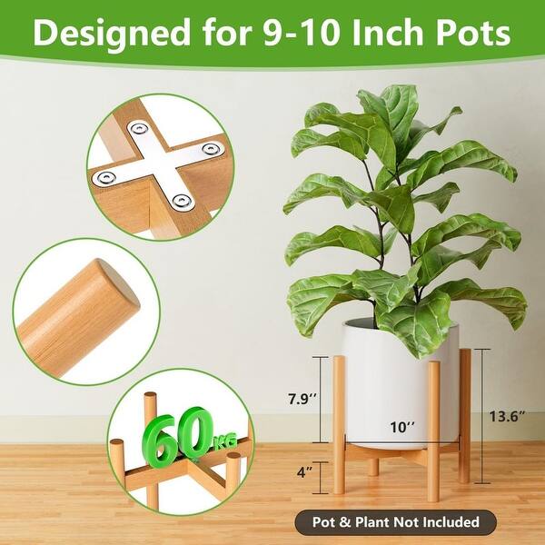 zz plant in pot ZZ Plant: Easy Live Houseplant - (6” Pot) – Easy Plant Care – Zamioculcas  Zamiifolia - Low Maintenance House Plant for Home & Office main image 0