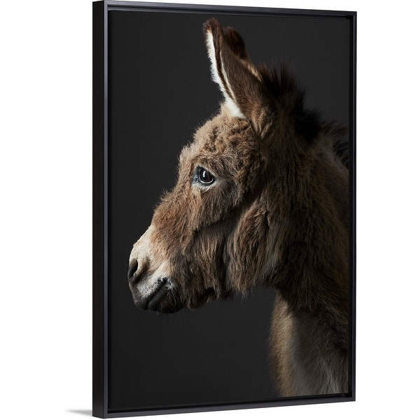 donkey frame