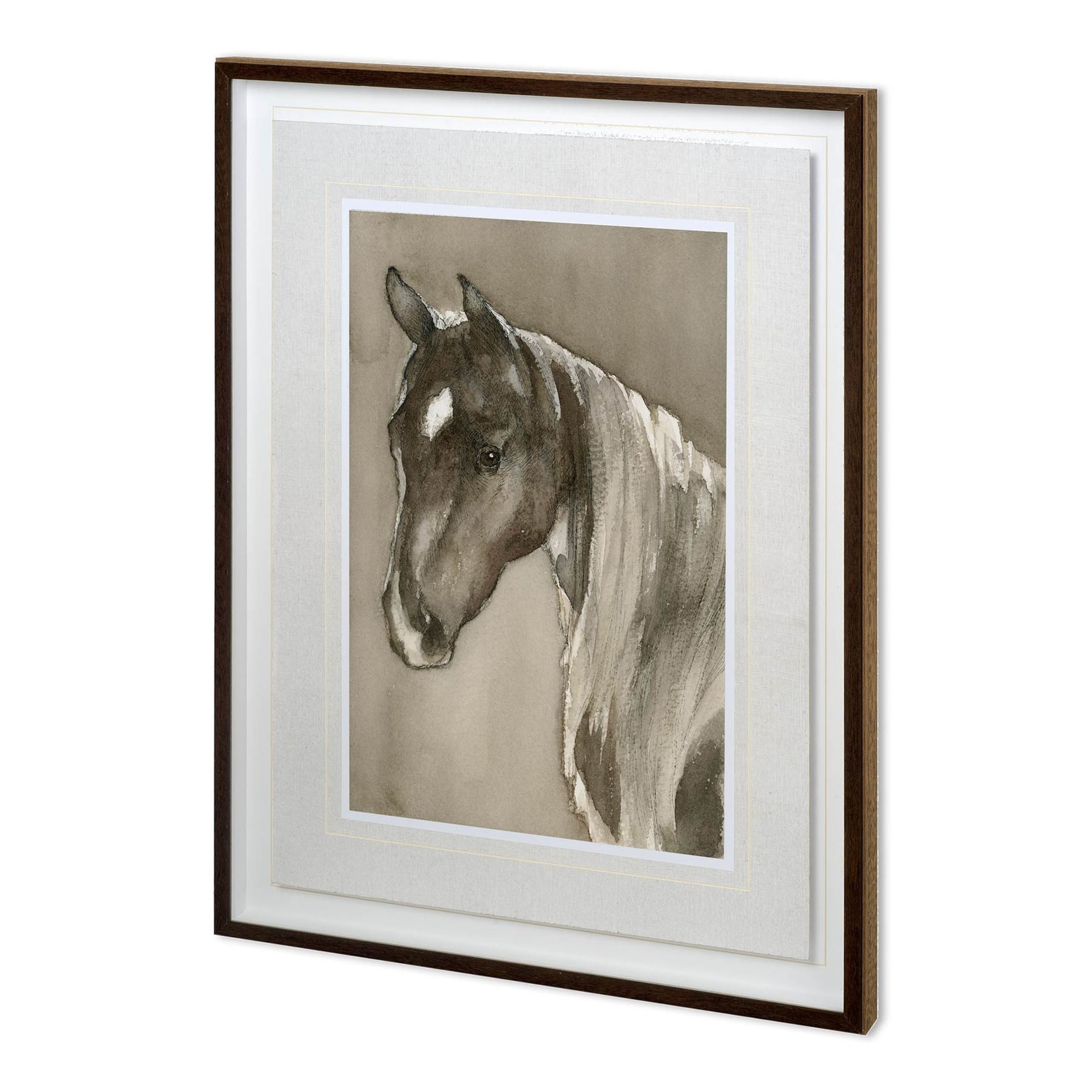 Horse Portrait II by Mercana Studio a Hand Embellished Textured Framed Art Print Matted under Glass