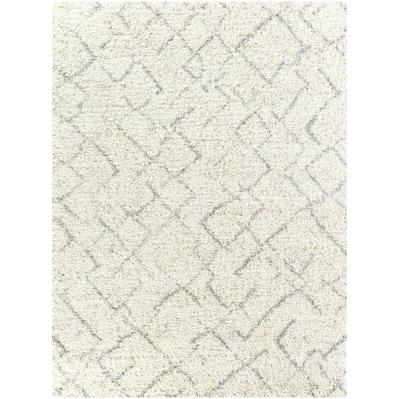 Albini Abstract Shag Area Rug
