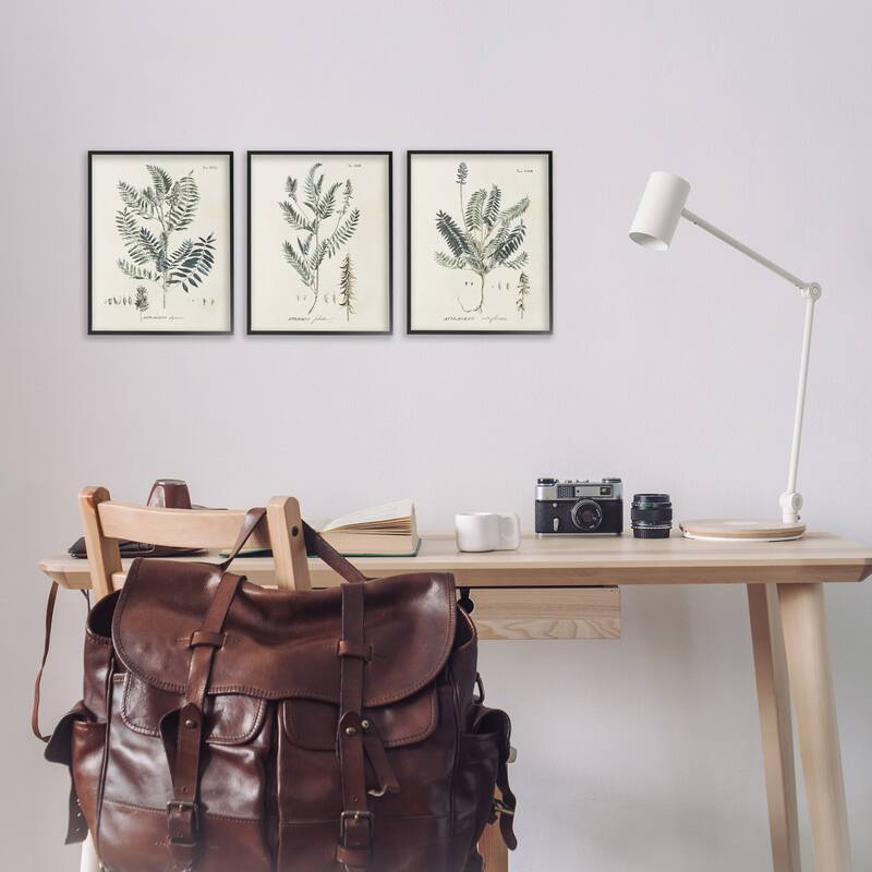 Stupell Green Botanical Latin Study Vintage Herb Motif Diagram Framed Wall Art - Beige