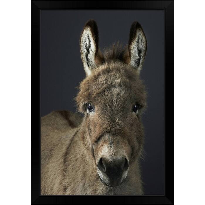 "Stanley the Donkey" Black Framed Print