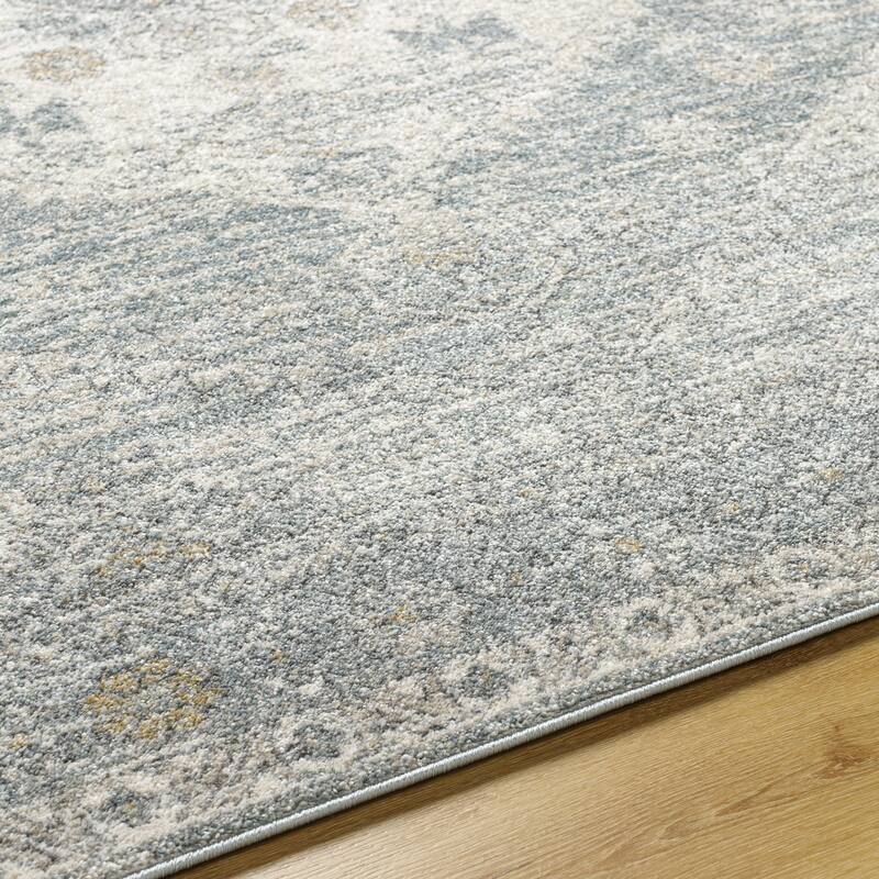 Livabliss Alpharetta Vintage Border Area Rug