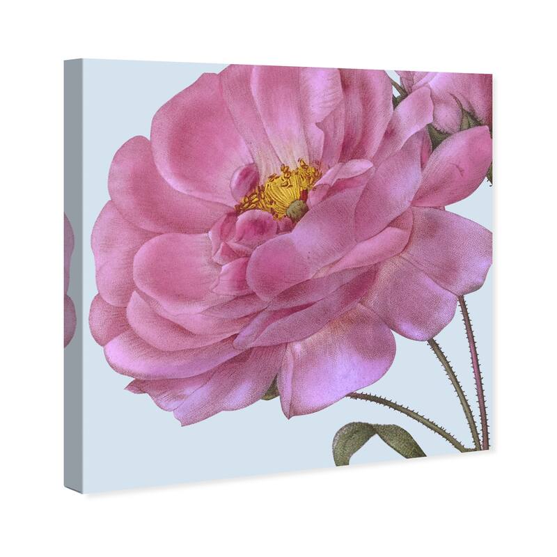 Wynwood Studio Canvas Floral and Botanical Flower III Pink and Pastel Blue Traditional Wall Art Canvas Print