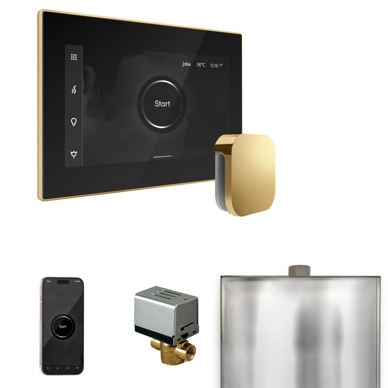 Mr Steam BX Xbutler Package Steam Shower Control Package with Isteamx - Black / Polished Brass