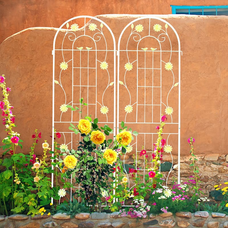 2 Pack Metal Garden Trellis 71" x 19.7" Rustproof Trellis for Climbing Plants Outdoor Flower Support White