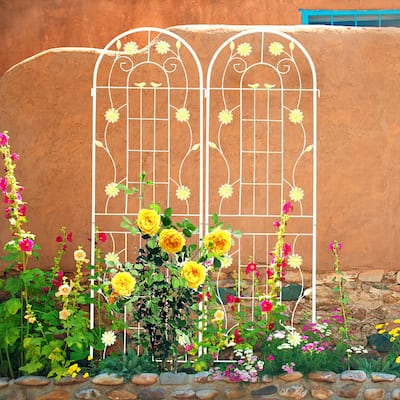 Metal Garden Trellis