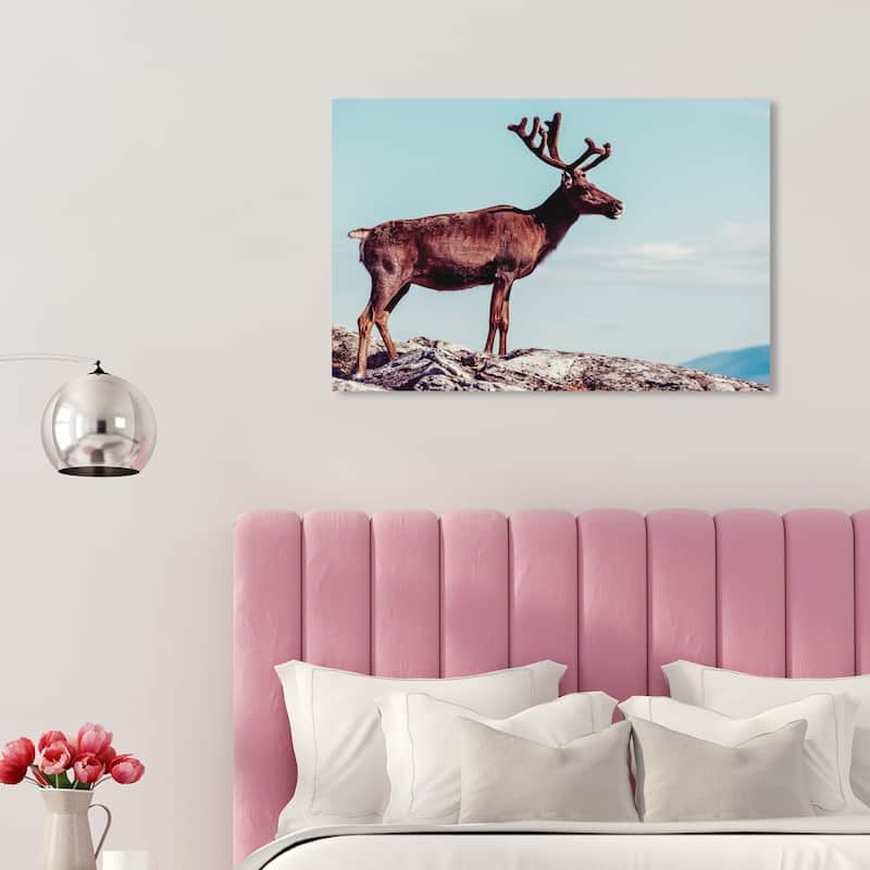 Wynwood Studio Canvas Animals In Its Own Habitat Blue and Light Blue Rustic Wall Art Canvas Print - 20 x 30
