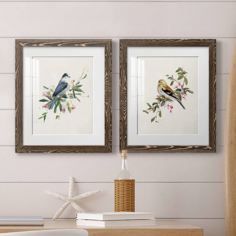 Spring Song Gray Jay-Premium Framed Print - Ready to Hang