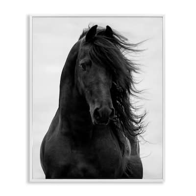 Stupell Black Stallion Horse Portrait Soft Grey Sky Photography Framed Wall Art