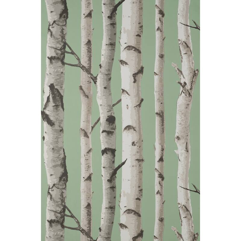 Fine Decor Chester Sage Birch Trees Wallpaper