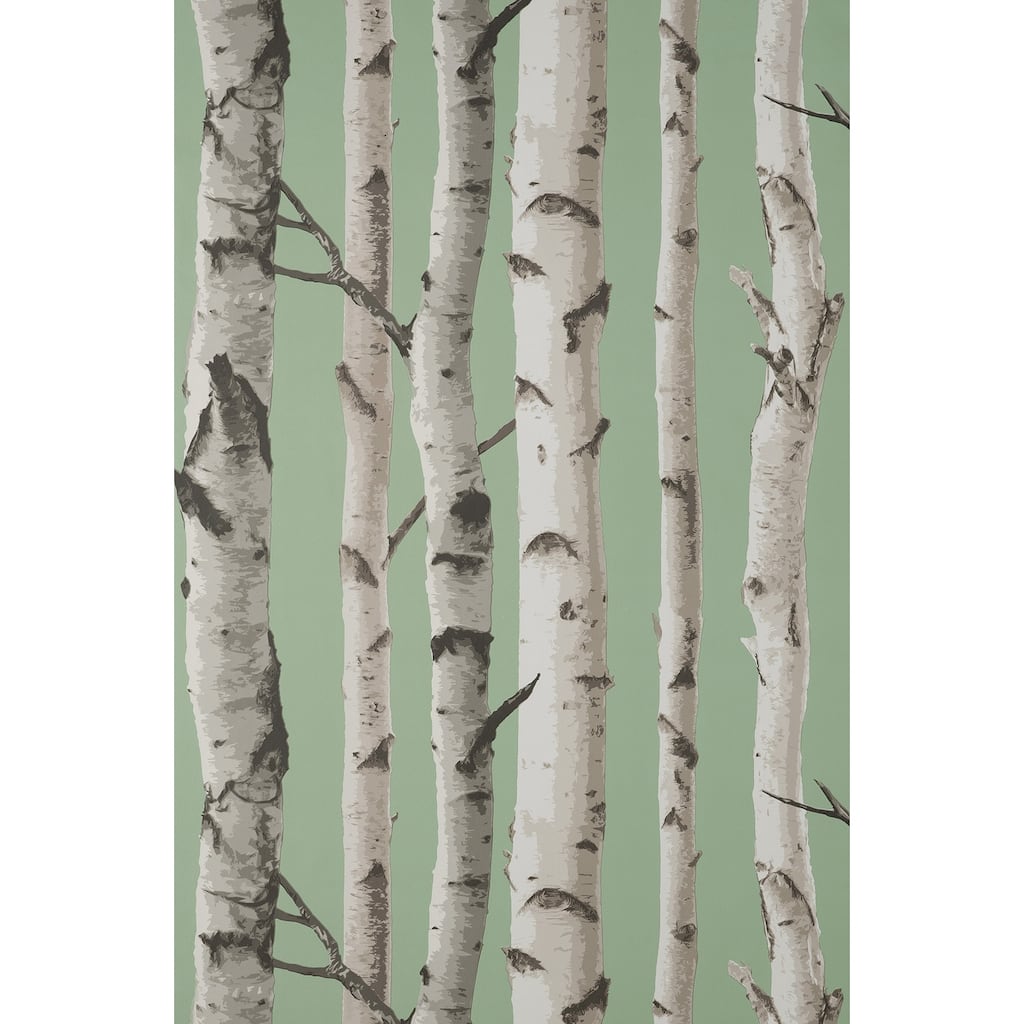 Fine Decor Chester Sage Birch Trees Wallpaper
