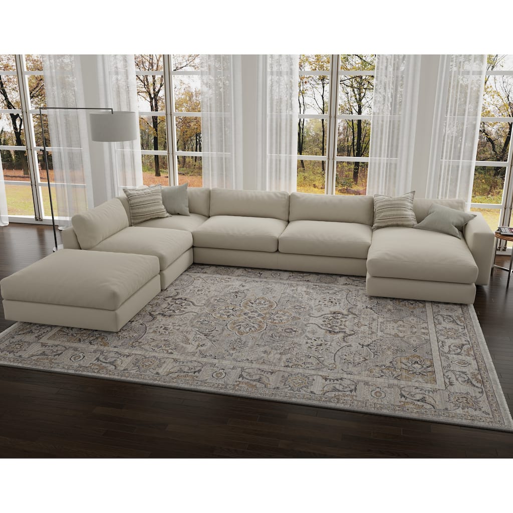 Domani Greige Traditional And Ornate Area Rug