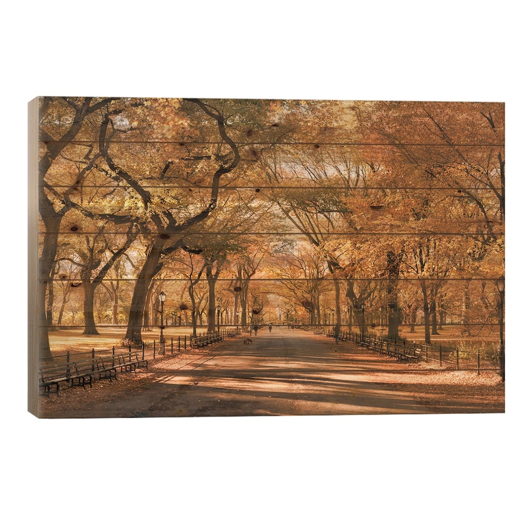 Autumn Colors In Central Park, New York City, USA Print On Wood by Jan Becke - Multi-Color