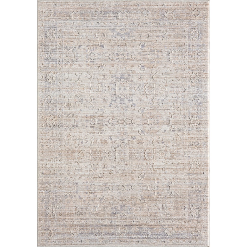 Tehe Stylish Area Rug By HomeRoots - 4' x 6'