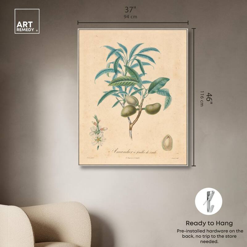 Almond of Georgia II Canvas by Art Remedy