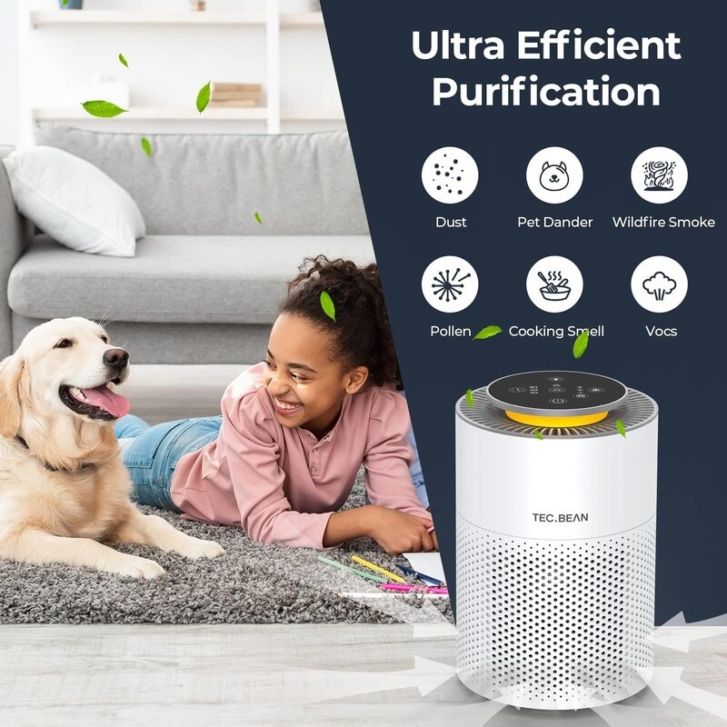 Eden shop air purifier