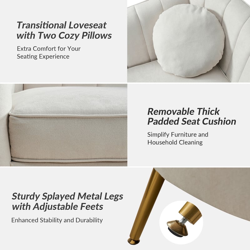 Cecilia 64.6" Wide Loveseat with Removable Cushions