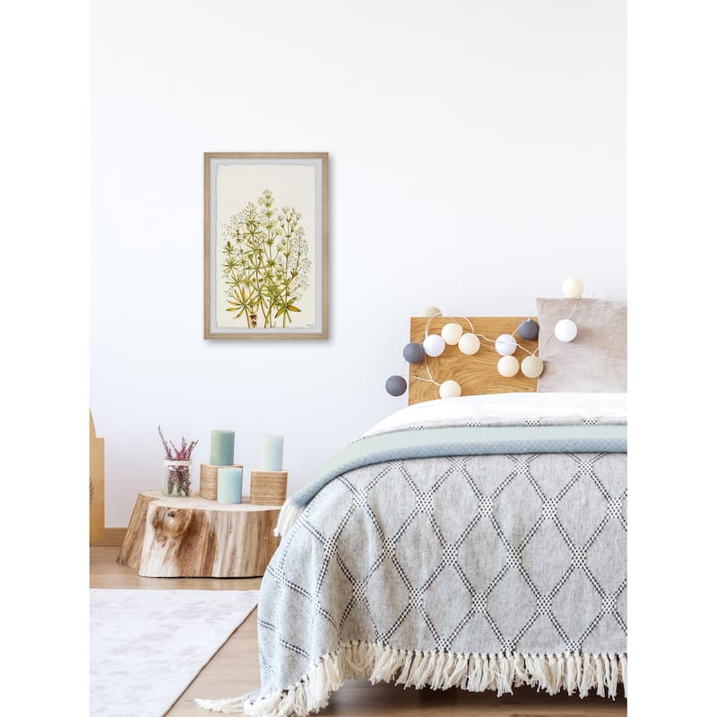 The Flowering Plant Framed Print