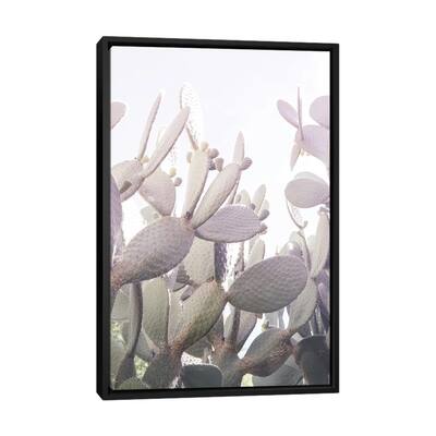 iCanvas "Desert Prince II" by Shot by Clint Framed