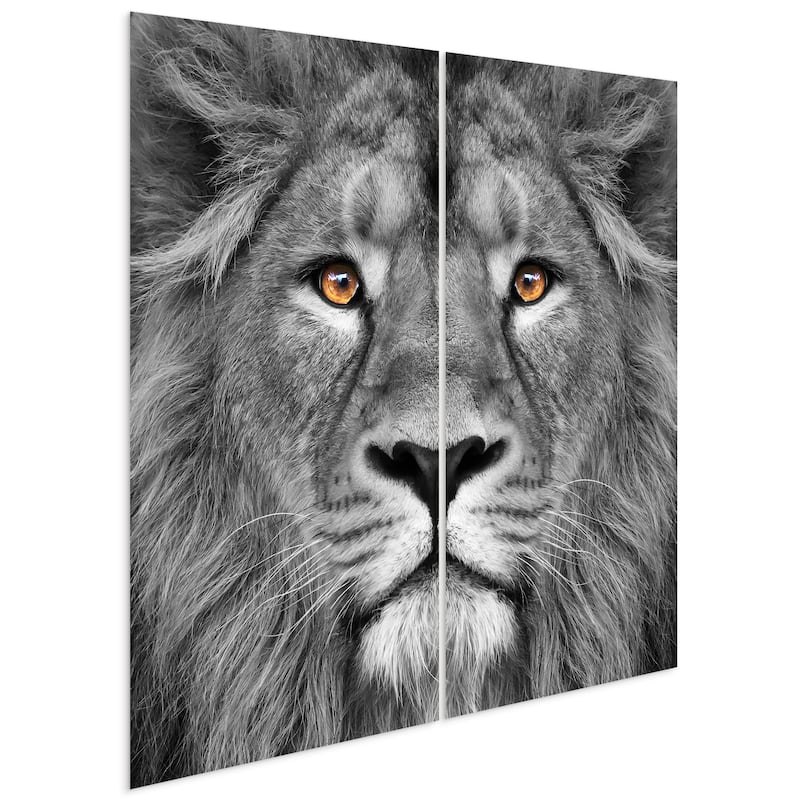 "King of the Jungle AB" Frameless Free Floating Tempered Glass Panel Graphic Wall Art