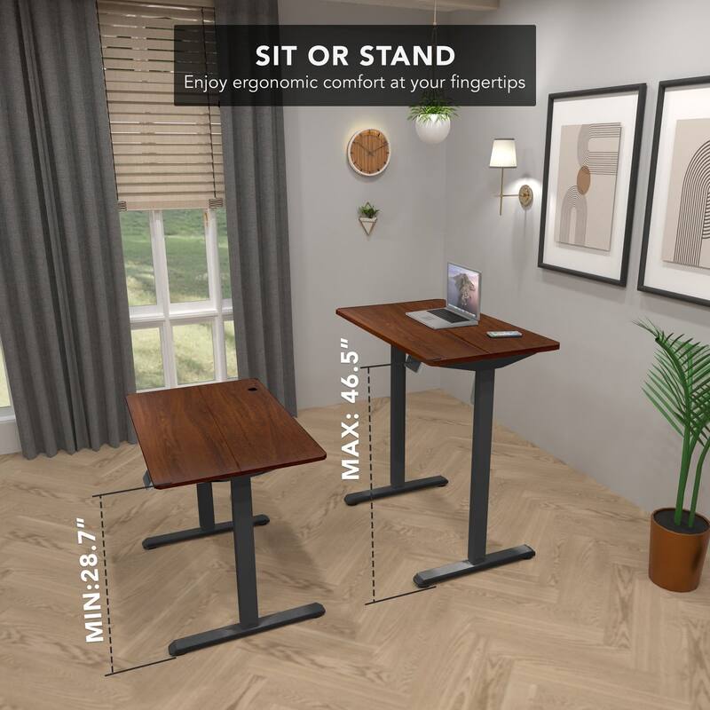 Mount-It! 40"W Electric Rectangular Adjustable Standing Desk, Hazelnut/Black (MI-8036)