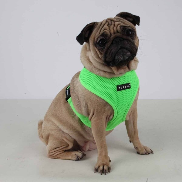 puppia adjustable harness