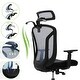 preview thumbnail 11 of 40, Ergonomic Mesh Executive Chair Home Office Chair with Lumbar Support, Headrest