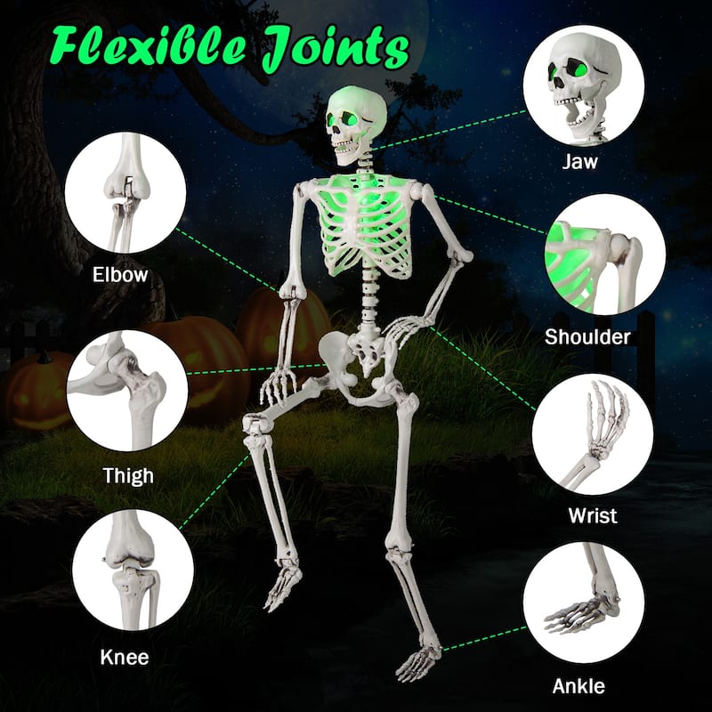 5.5 FT Halloween Skeleton Life-Size Poseable Skeleton w/ Movable Joints
