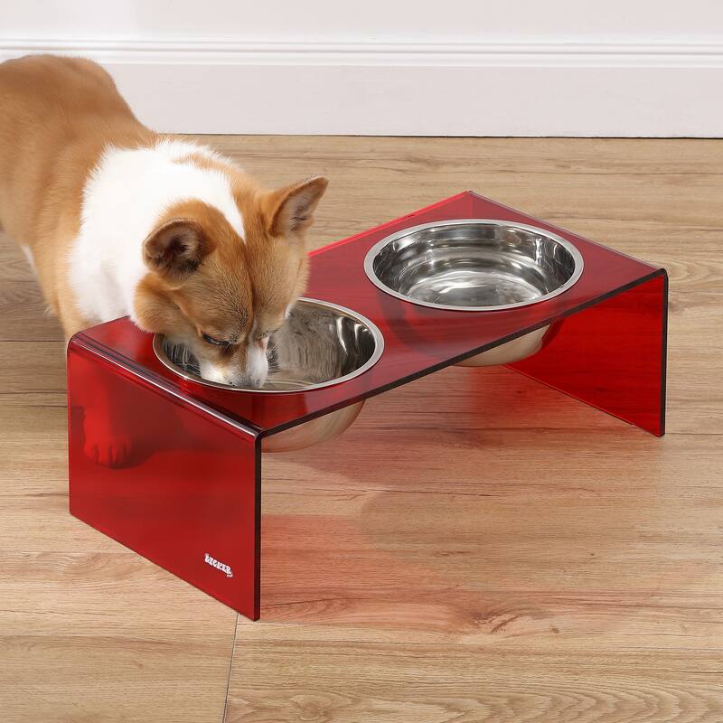 Keaton 7.5" Medium/Large Modern Lucite Rectangular Elevated Pet Feeder with 54oz 2-Stainless Steel Bowls