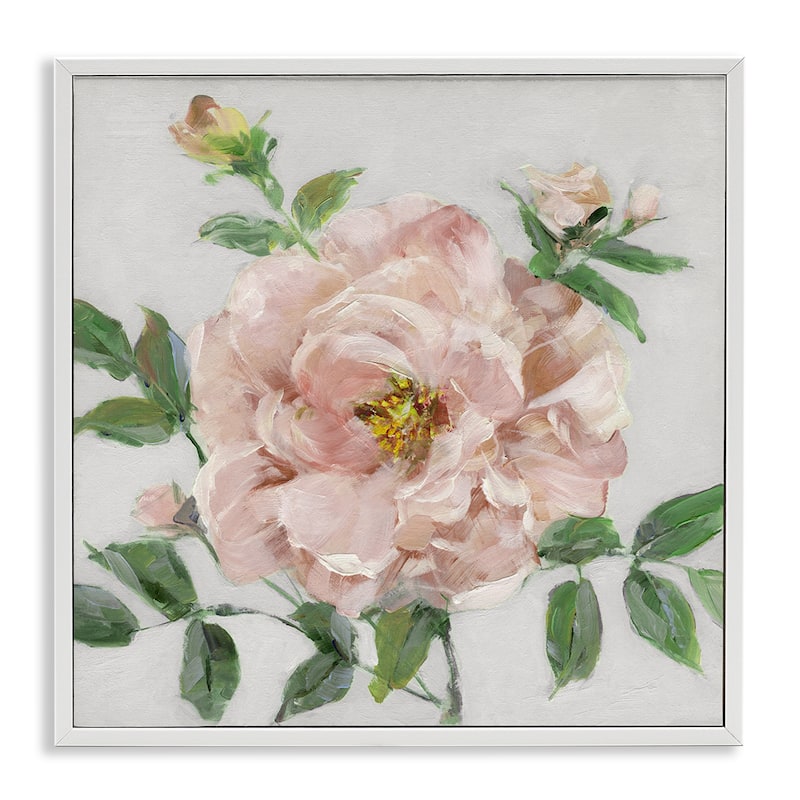 Stupell Pink Carnation Blossom Framed Giclee Art Design By Sally Swatland - 12 x 12 - White