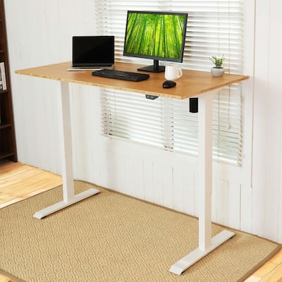 FLEXISPOT 48"x24" Home Office Electric Height Adjustable Standing Desk Sit Stand Desk Natural Bamboo Desk Top